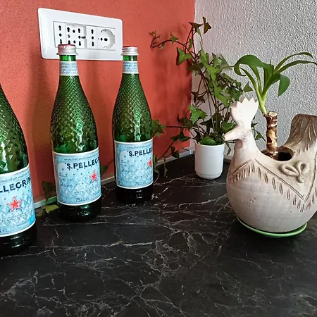 Rose E Fiori 度假居 *