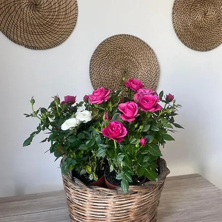 Semesterbostad Rose E Fiori *
