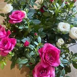 Rose E Fiori *