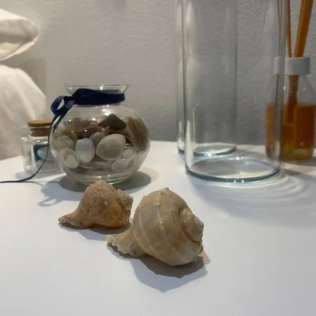 Rose E Fiori Teulada