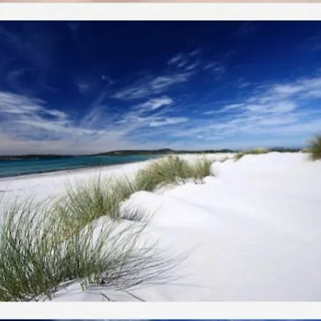 Rose E Fiori Teulada