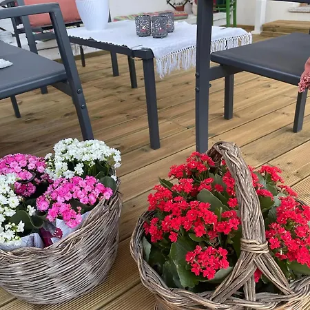 Rose E Fiori 特乌拉达