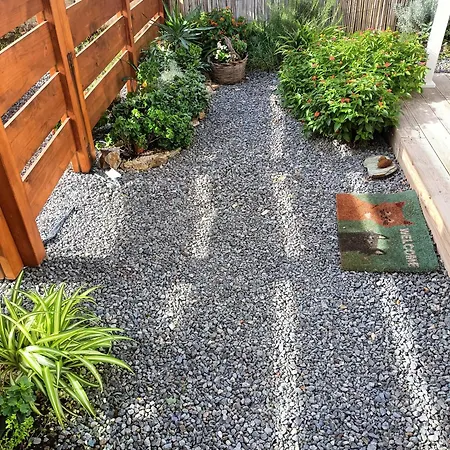 Rose E Fiori Teulada