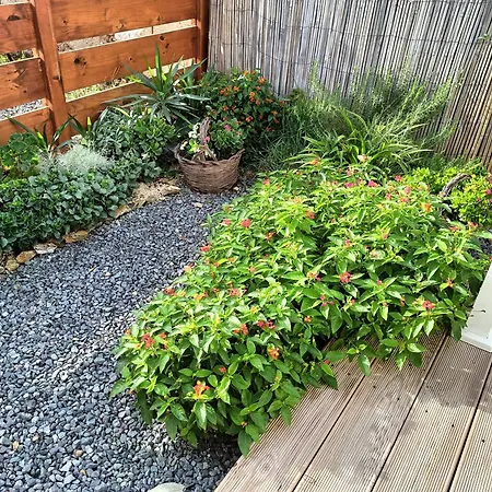 펜션 Rose E Fiori *