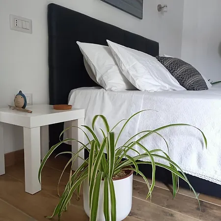 Rose E Fiori * Teulada