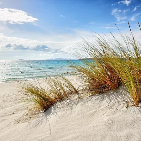 Rose E Fiori Tatil Evi *