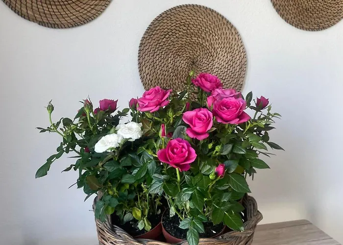 Tatil Evi Rose E Fiori *