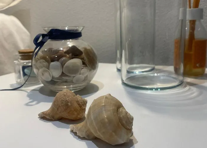 Rose E Fiori Teulada