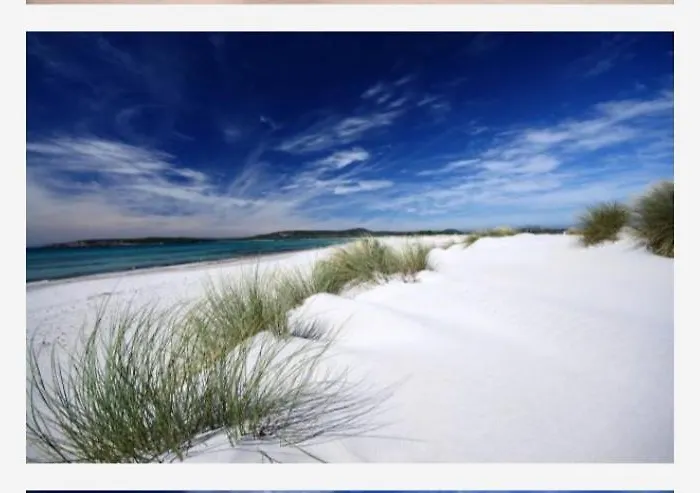 Rose E Fiori Teulada