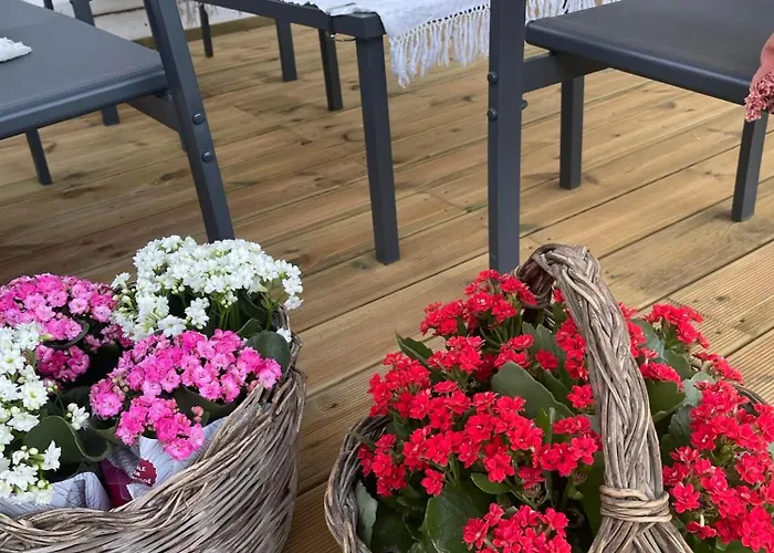 Rose E Fiori Teulada