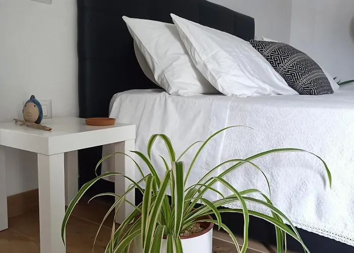 Rose E Fiori * Teulada