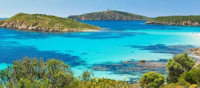 Rose E Fiori * Teulada