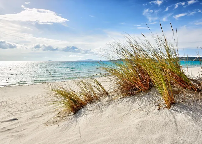 Rose E Fiori Tatil Evi *